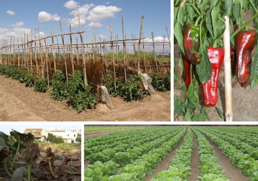 Imagen del evento:VI Encuentro Red de Universidades Cultivadas (RUC)